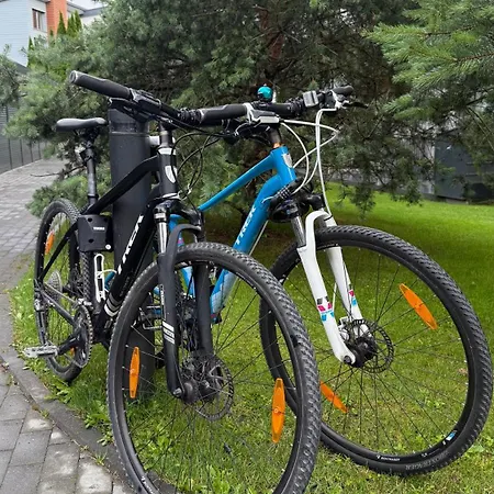 Vanagupes Palanga